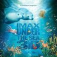 海底世界3D 海底世界3D