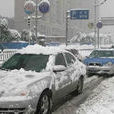 雪天行車 雪天行車