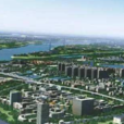 羅家鎮(羅家集)