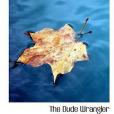The Dude Wrangler(Lockhart, Caroline著圖書) The Dude Wrangler(Lockhart, Caroline著圖書)