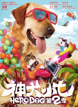 江寧波 江寧波