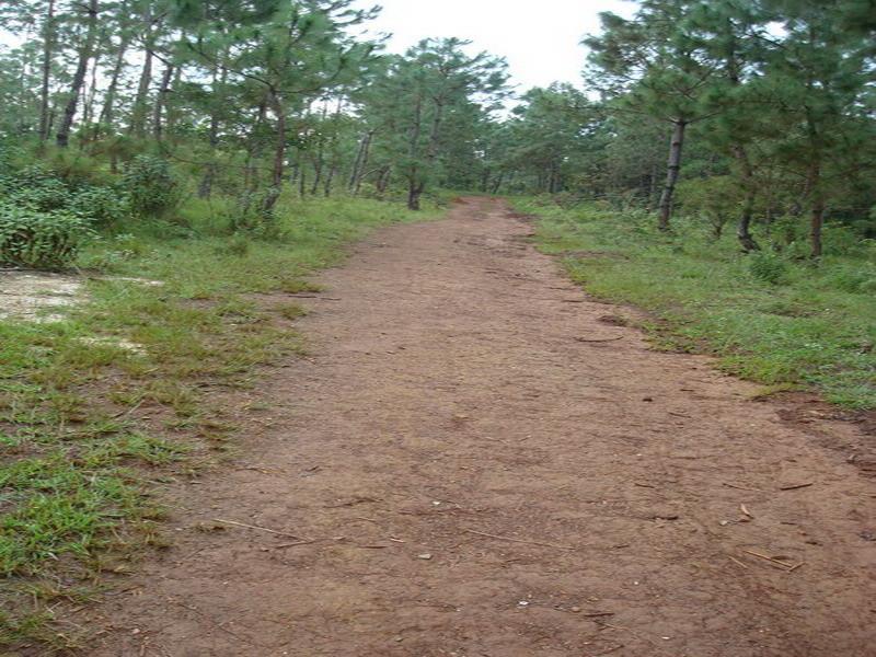 汪頭村 汪頭村