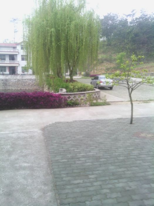 葉家沖新村 葉家沖新村