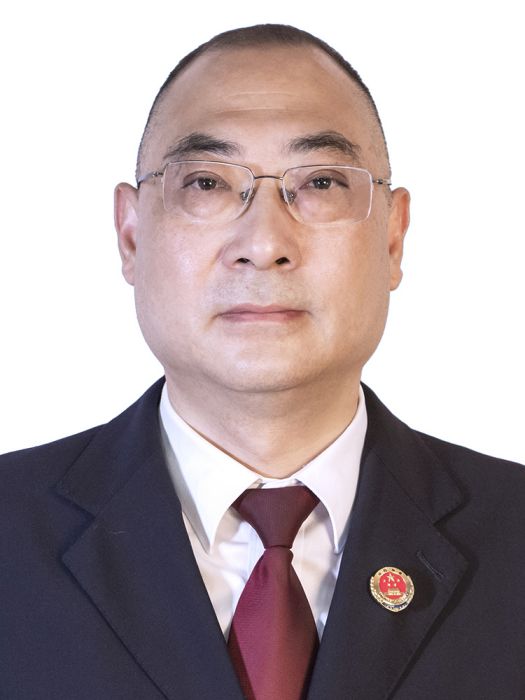 夏強(重慶市潼南區人民檢察院黨組成員、副檢察長、檢察委員會委員) 夏強(重慶市潼南區人民檢察院黨組成員、副檢察長、檢察委員會委員)