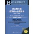 武漢城市圈經濟社會發展報告(2008-2009)
