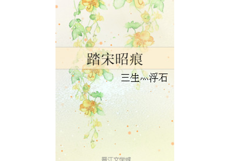 踏宋昭痕 踏宋昭痕
