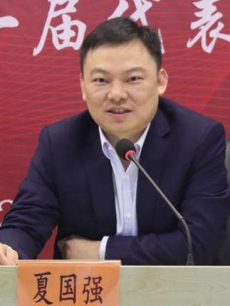 夏國強(江蘇省吳江區七都鎮黨委書記) 夏國強(江蘇省吳江區七都鎮黨委書記)