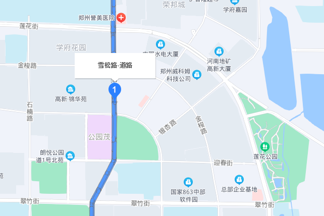 雪松路(河南省鄭州市雪松路) 雪松路(河南省鄭州市雪松路)