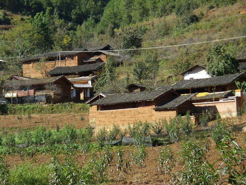 檢木科村 檢木科村