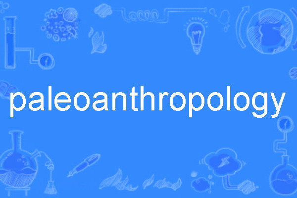 paleoanthropology paleoanthropology