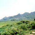 淋瀝山 淋瀝山