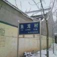 魚龍村 魚龍村