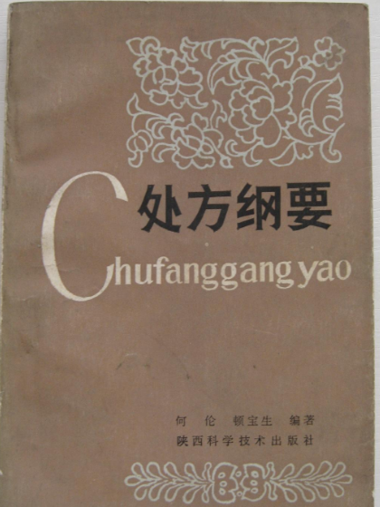 處方綱要 處方綱要