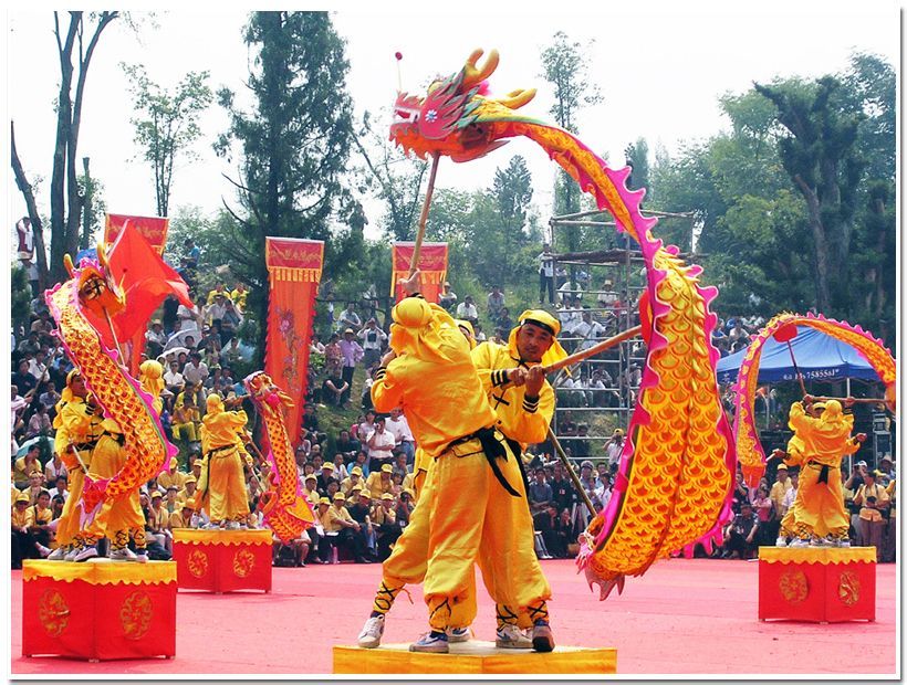 竹節龍 竹節龍