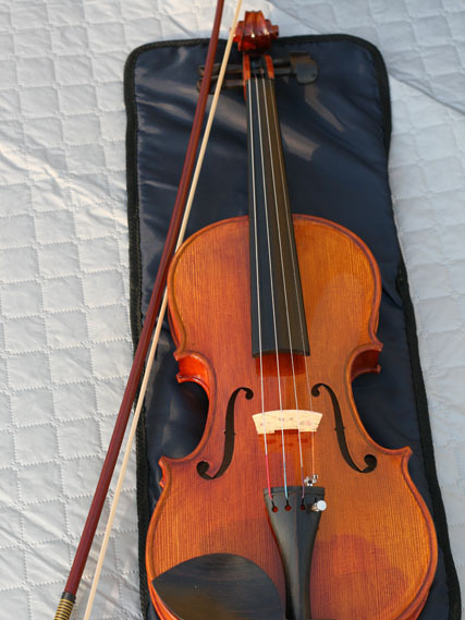 小提琴琴身 小提琴琴身