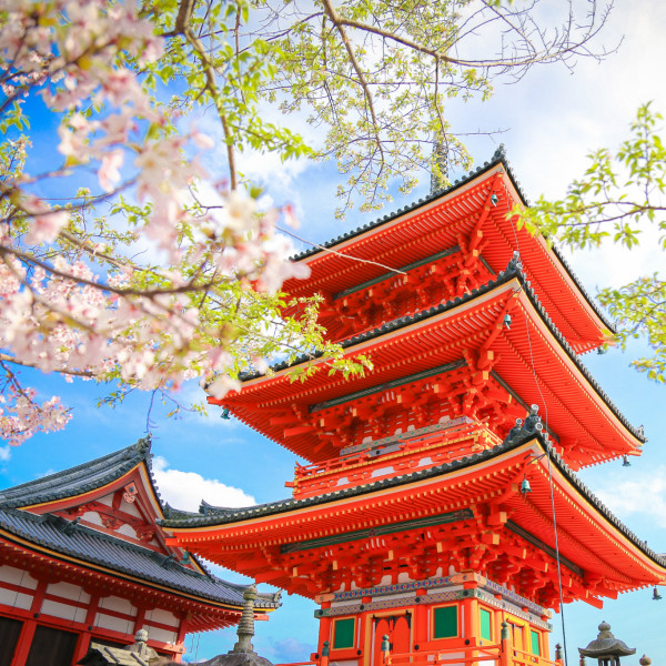 京都市(京都（日本京都市）)