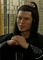 白眉大俠(1995年王文杰執導電視劇)