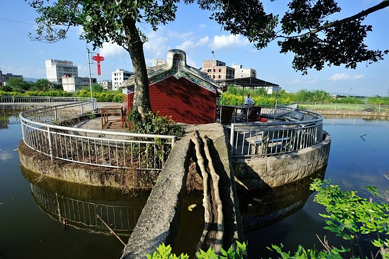 車厝圍村 車厝圍村