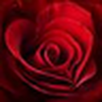 Valentines Day Wallpaper Valentines Day Wallpaper