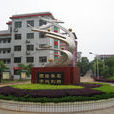 長沙市嶽麓實驗中學(望城三中)