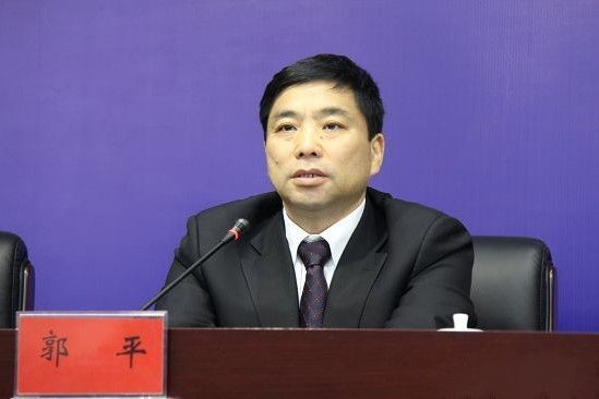 郭平(湖南湘投控股集團有限公司原黨委委員、副總經理)