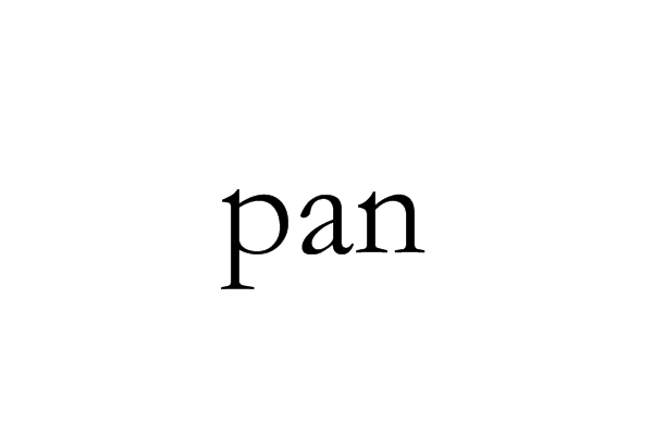 pan(求救信號)