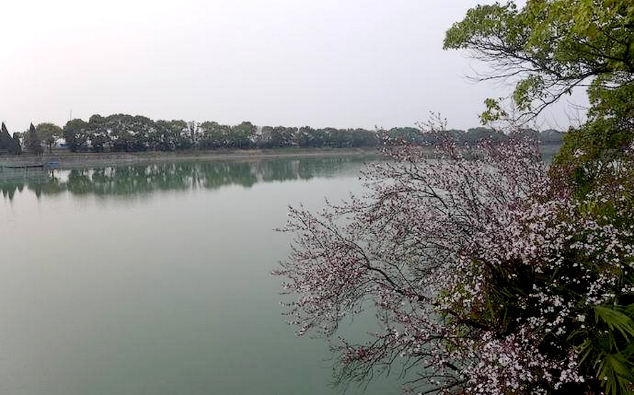 水上運動場一帶湖面