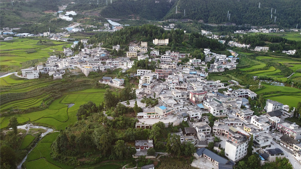 播箕村 播箕村