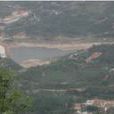 龍王廟村(河南中牟縣白沙鎮下轄村) 龍王廟村(河南中牟縣白沙鎮下轄村)