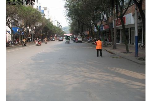 茶花路 茶花路
