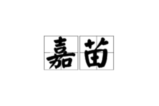 嘉苗 嘉苗