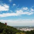 龍雲(已故紅軍師長) 龍雲(已故紅軍師長)