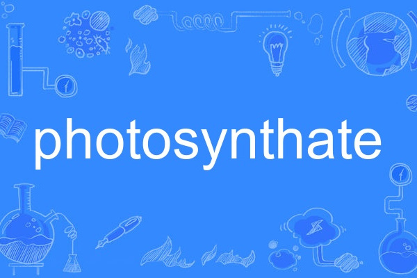 photosynthate photosynthate