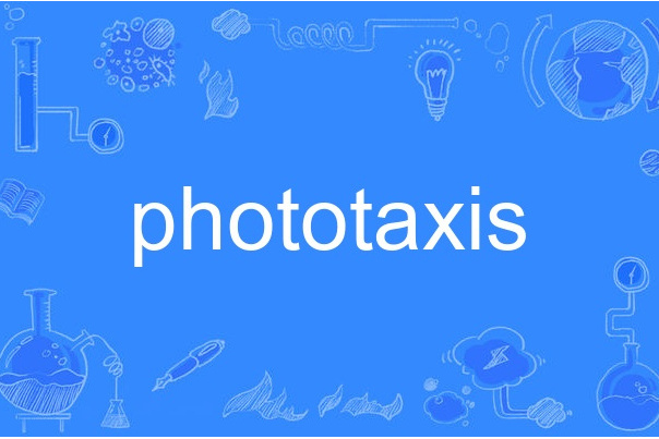 Phototaxis Phototaxis