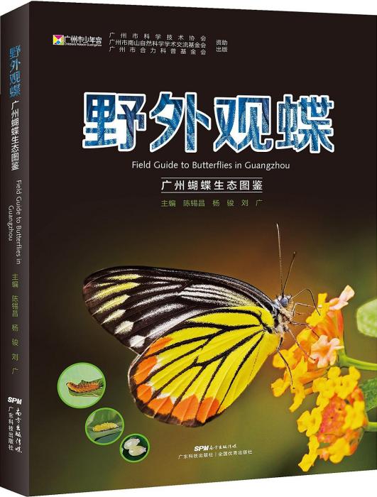 野外觀蝶 野外觀蝶