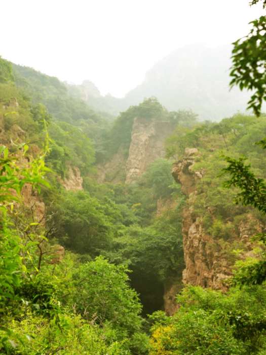 泉子口村 泉子口村