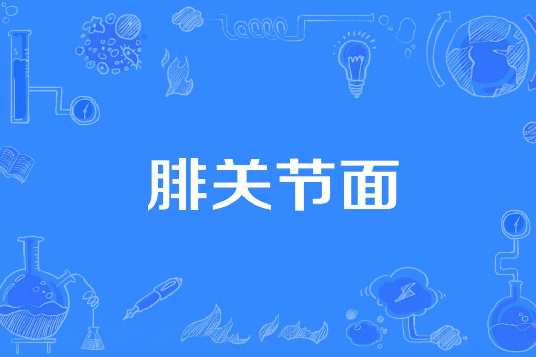 腓關節面 腓關節面