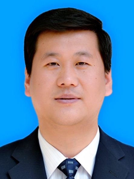 王峰(河北省邯鄲市館陶縣委副書記，縣政府縣長、黨組書記)