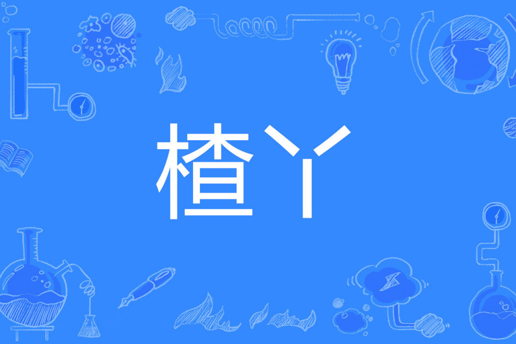 楂丫 楂丫