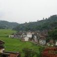 龍泉村(雲南省文山西疇縣西灑鎮龍泉村) 龍泉村(雲南省文山西疇縣西灑鎮龍泉村)