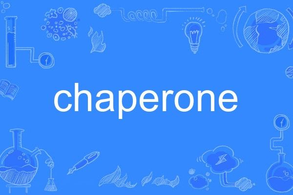chaperone chaperone