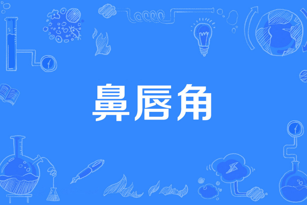 鼻唇角 鼻唇角