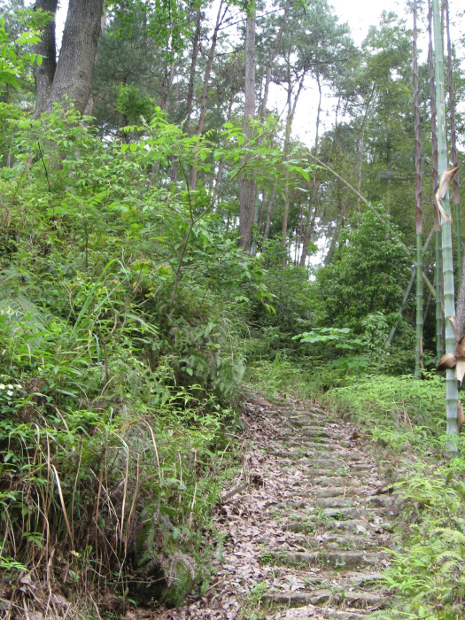 吳山嶺古道 吳山嶺古道
