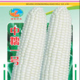 中糯1號玉米 中糯1號玉米