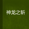 神龍之斬 神龍之斬