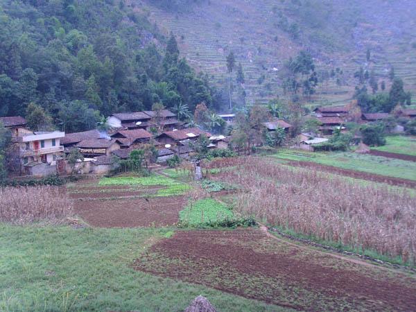 龍宗母村 龍宗母村