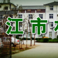 麗江市林業局 麗江市林業局