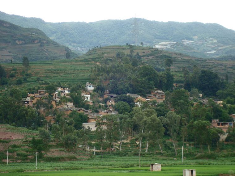 大樹多村 大樹多村