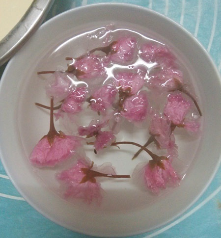 櫻花凍優酪乳芝士蛋糕