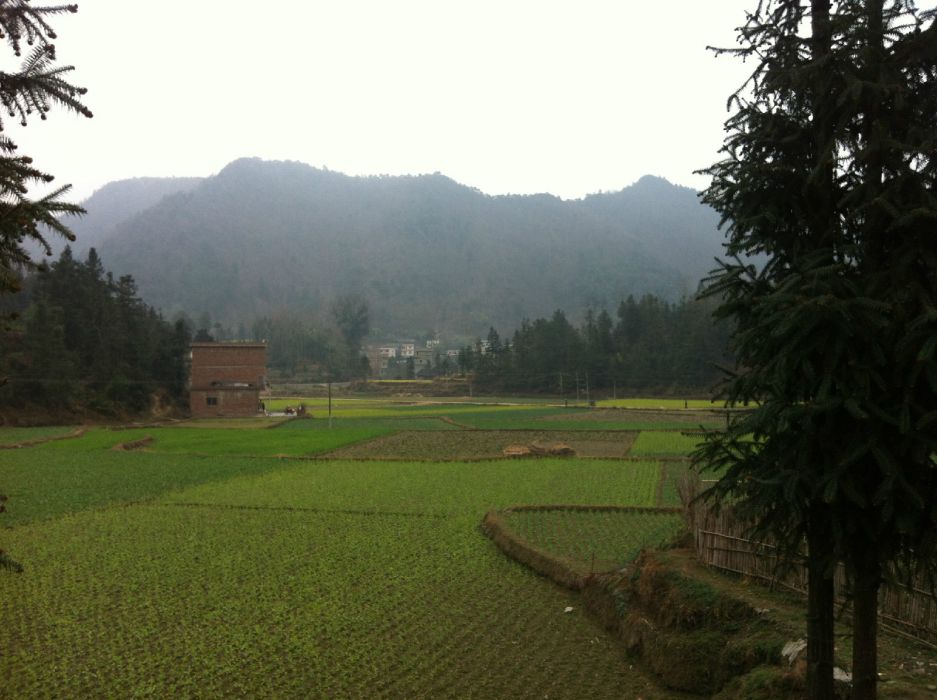 德昭村 德昭村